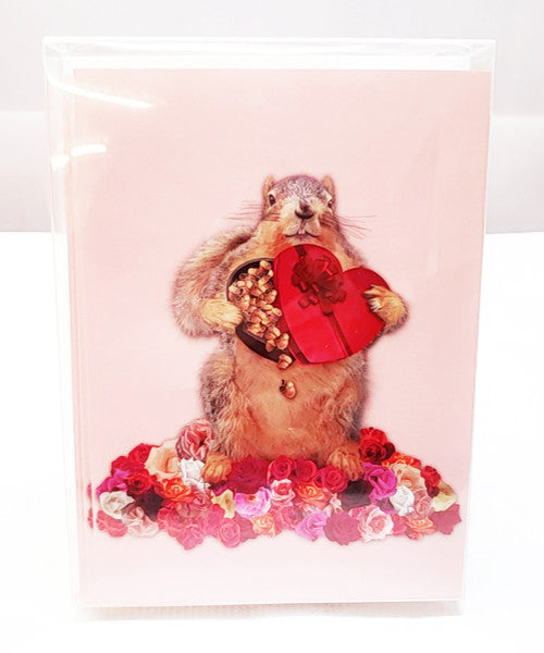 I'm Nuts About You Cards | Set of 8 | Funny Squirrel Valentine's Day