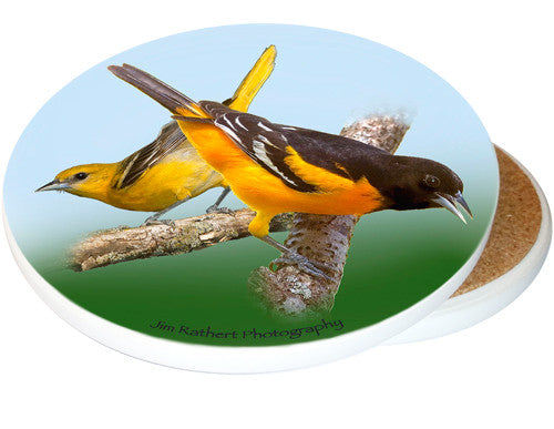 Oriole Sandstone Ceramic Coaster | Image shows front and cork back