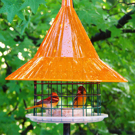 Oriole Feeder | Sky Cafe Squirrel Proof Bird Feeder, American Made Bird Feeder