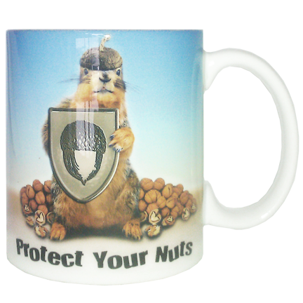 Protect Your Nuts Mug | Funny Squirrel Mug