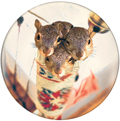 Stocking Stuffer Squirrels Coaster