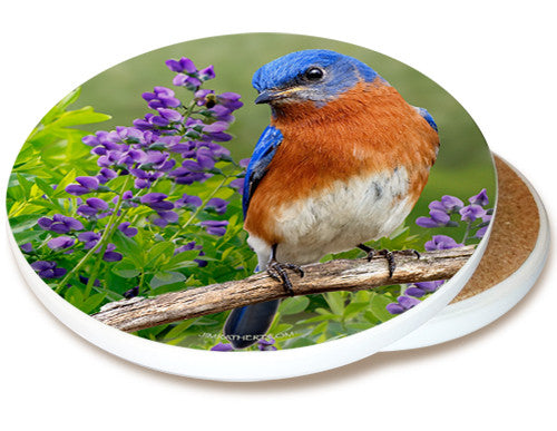 Summer Bluebird Sandstone Ceramic Coaster  | Image shows front and cork back