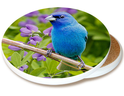 Summer Indigo Blue Bunting Sandstone Ceramic Coaster | Image shows front and cork back