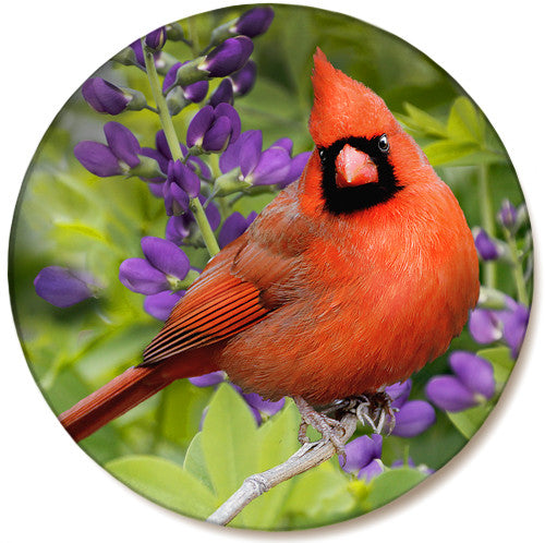 Summer Cardinal Sandstone Ceramic Coaster | Front