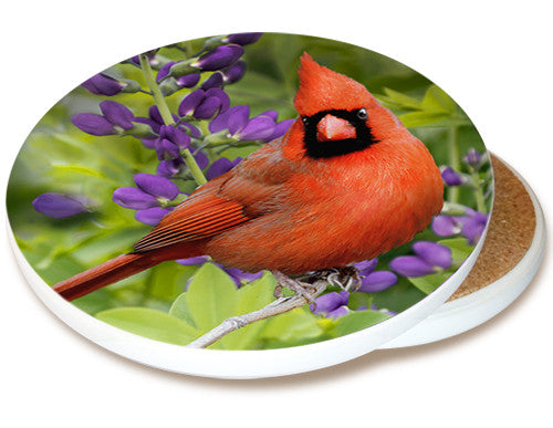 Summer Cardinal Sandstone Ceramic Coaster | Image shows front and cork back