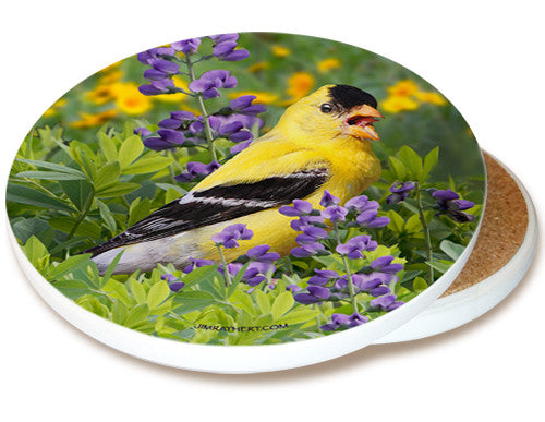 Summer Goldfinch Sandstone Ceramic Coaster | Image shows front and cork back