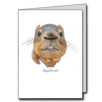 The Squirrel Birthday Card