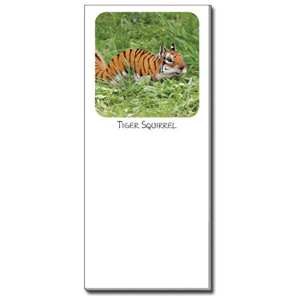 Tiger Squirrel Notepad | Funny Squirrel Magnetic Shopping List