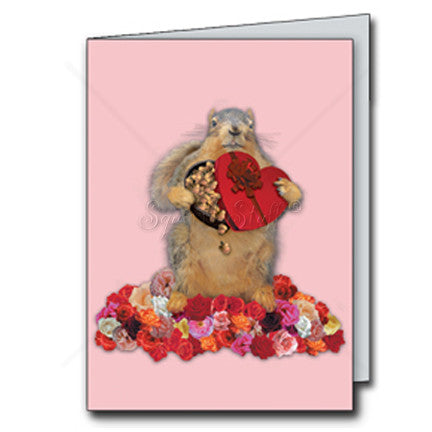 I'm Nuts About You Card | Funny Squirrel Valentine's Day