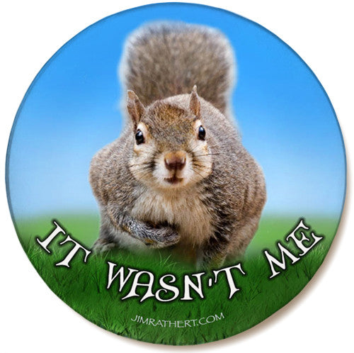 It Wasn't Me Sandstone Ceramic Coaster | Funny Squirrel Coaster | Front