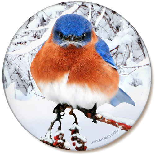 Winter Bluebird Sandstone Ceramic Coaster | Front