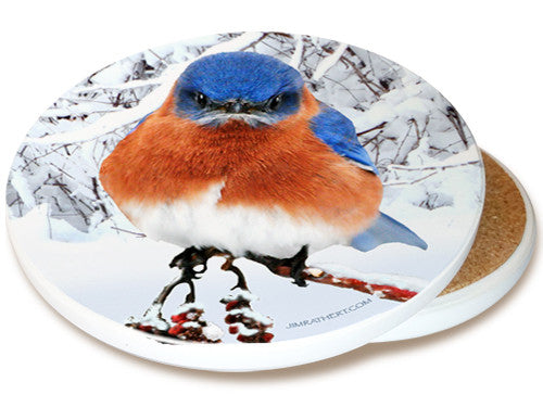 Winter Bluebird Sandstone Ceramic Coaster | Image shows front and cork back