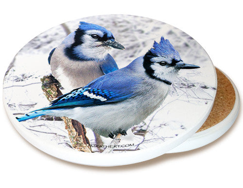 Winter Blue Jay Sandstone Ceramic Coaster | Image shows front and cork back