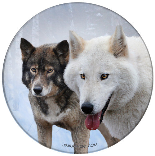 Timber Wolves in Snow Sandstone Ceramic Coaster | Wolf Coaster | Front