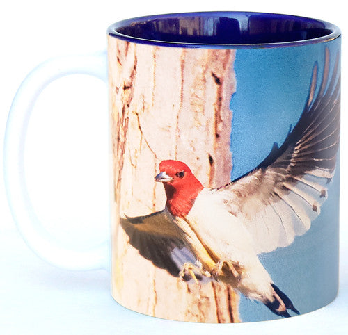 Woodpecker in Flight Mug | Jim Rathert Photography