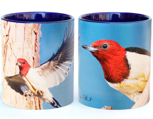 Woodpecker in Flight Mug | Jim Rathert Photography