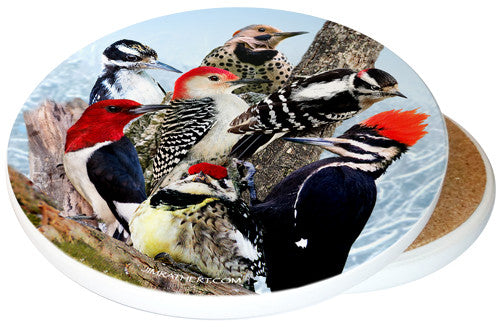 Woodpecker Sandstone Ceramic Coaster | Image shows front and cork back