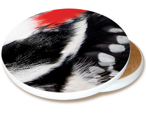 Bird Feather Sandstone Ceramic Coaster Collection | Woodpecker Feathers