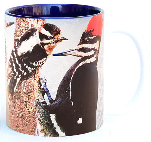 Woodpecker Motley Mug | Jim Rathert Photography