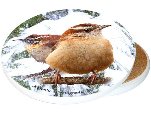 Carolina Wren Sandstone Ceramic Coaster | Image shows front and cork back