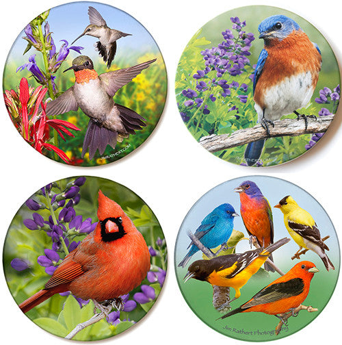 Bird Coasters Variety Pack | Sandstone Coasters | Jim Rathert Photography | 4 pack