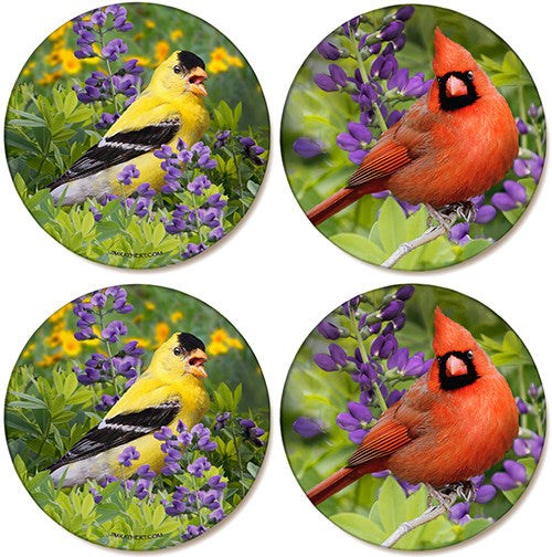 Summer Cardinal & Summer Goldfinch Coaster | Sandstone Coaster | 4 Pack