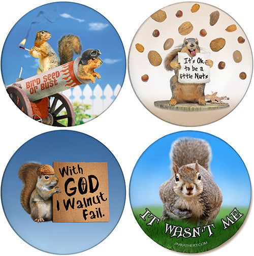 Squirrel Variety Pack | Sandstone Ceramic Coasters | 4 Pack