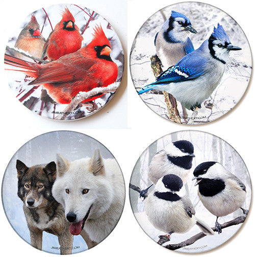 Winter Birds Coaster Variety Pack | Sandstone Coasters | Jim Rathert Photography | 4 pack