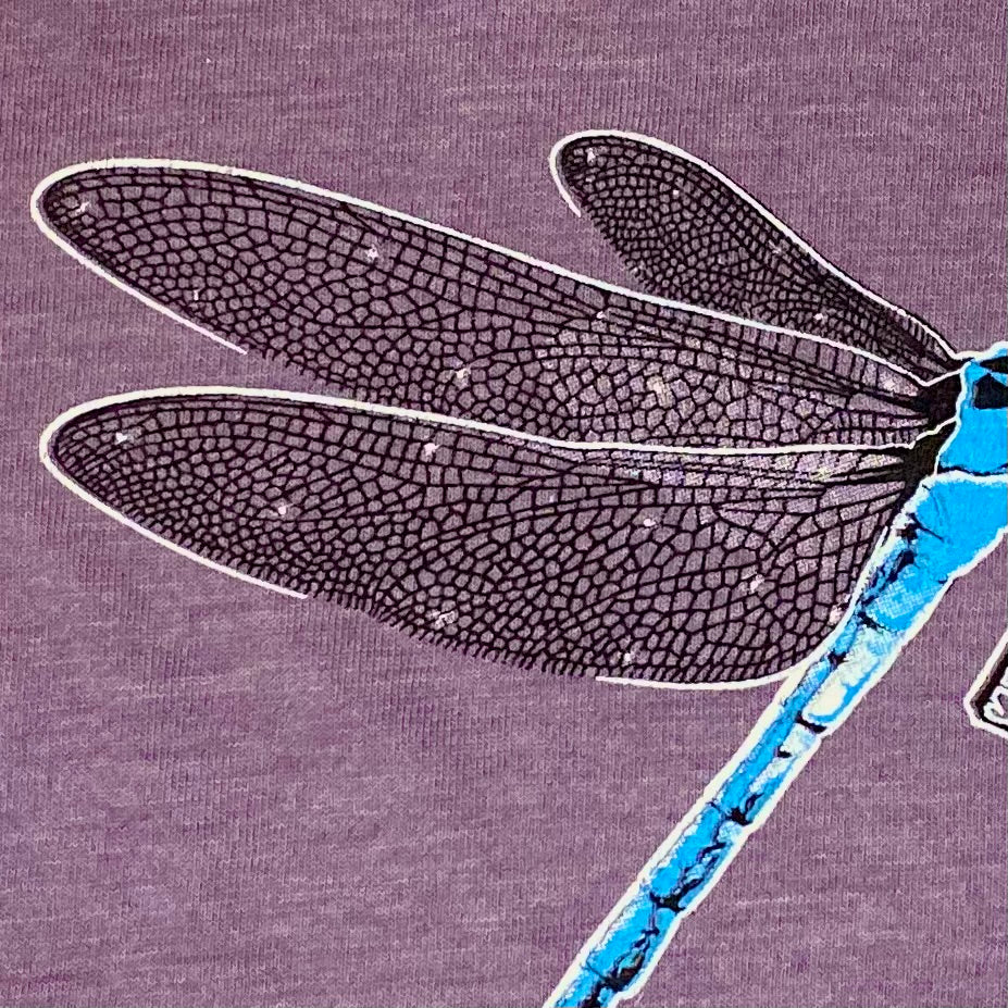 Hand drawn blue dragonfly with lacy wings on a super soft heather purple nature lover's graphic tee .